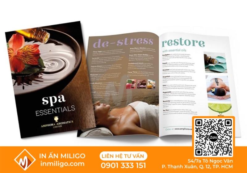 in catalogue spa