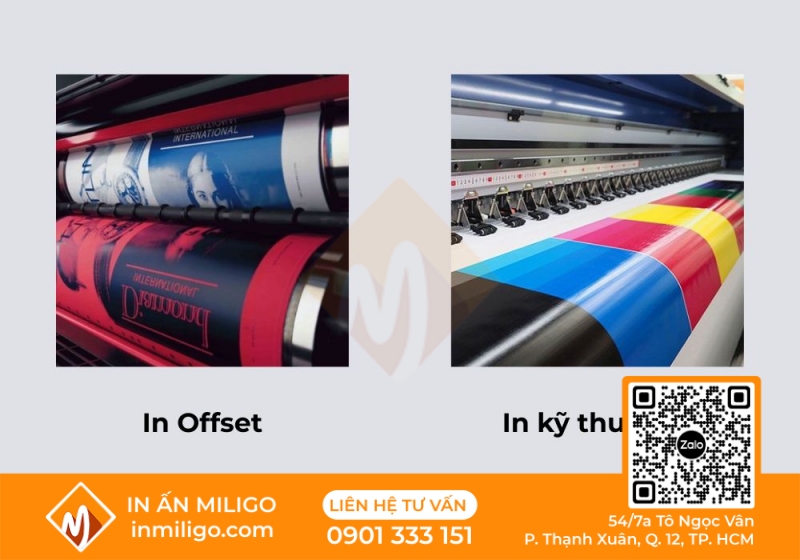 in catalogue thiết bị vệ sinh