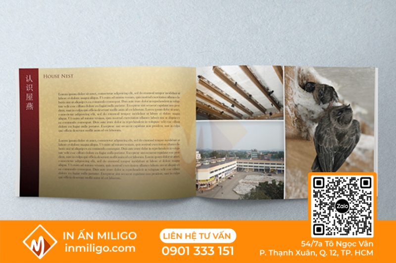 in catalogue yến sào