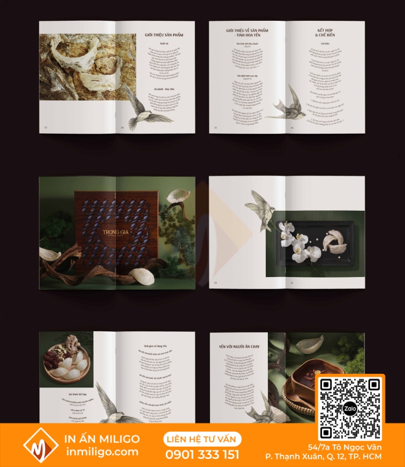 in catalogue yến sào