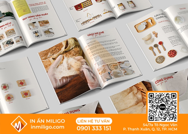 in catalogue yến sào