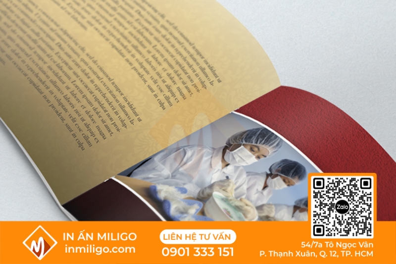 in catalogue yến sào
