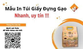 túi giấy đựng gạo