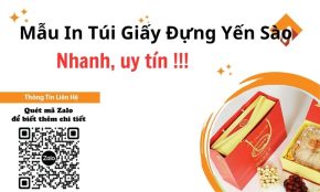 túi giấy đựng yến sào