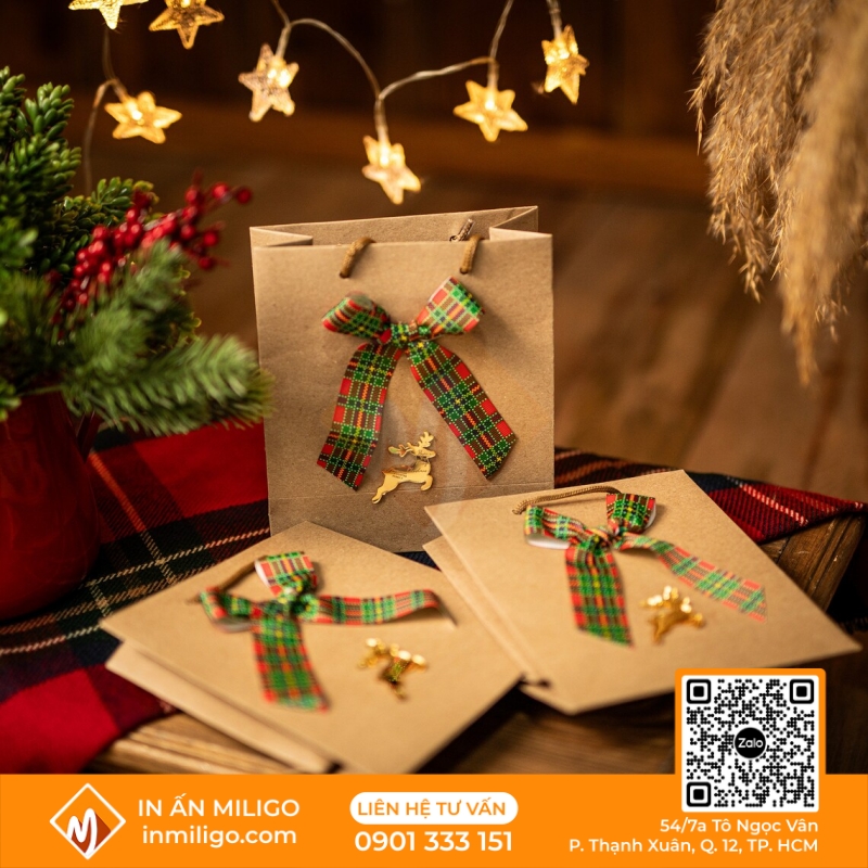 túi giấy noel
